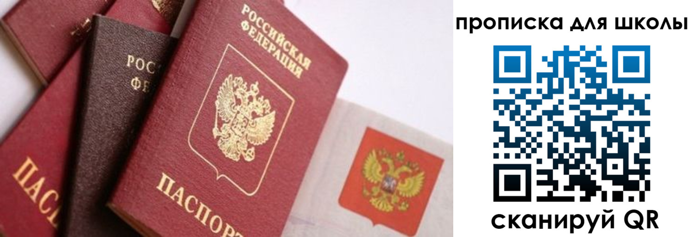 прописка поиск в Еманжелинске